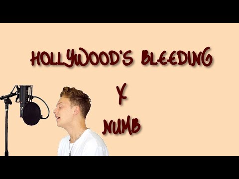 Bleeding edge ninja theory. Bleed connor. Hollywood's bleeding post. Hollywood s bleeding. Bleed connor kauffman.