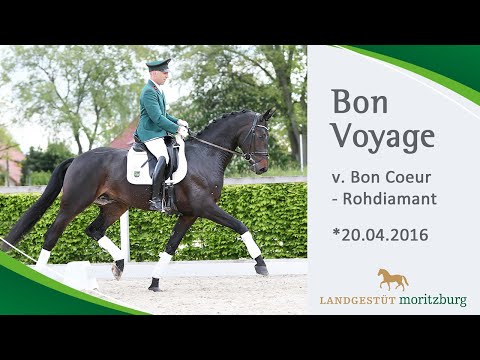 Bon Voyage v. Bon Coeur - Rohdiamant