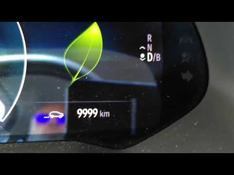 Je passe un premier cap kilométrique avec ma belle Zoé.