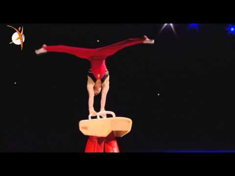 Maxime Gentges - Démonstration au cheval d'arçons @ GymGala 2014