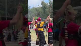 Download lagu Tarian Ja'i Bajawa mp3