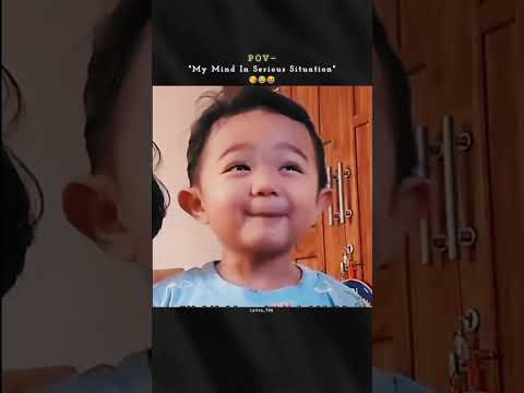 Tipi tipi tapa tapa | funny video