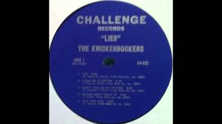 The Knickerbockers   Can&#39;t You See I&#39;m Trying 1966 Lies