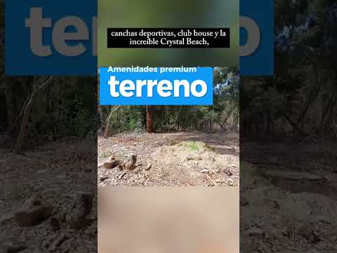 558  - #terreno  En #venta  #Solanas , #puntadeleste #uruguay 💰