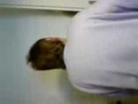 Meine Mudda Schiebt LachFlash