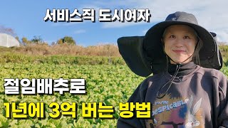 도시여자가 귀농 5년만에 절임배추와 고추로 일년에 3억 3천 버는 방법
