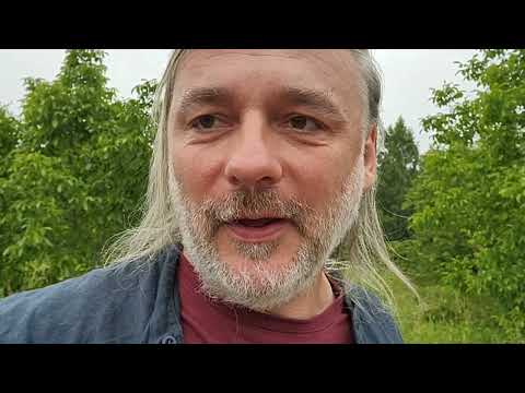 Orzech włoski opanowuje Polskę