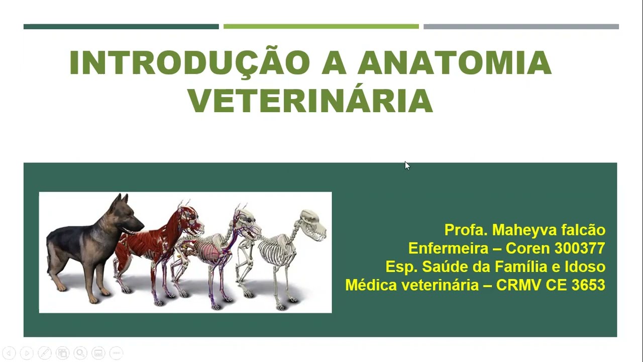 1ª Aula Anatomia Veterinária - Introdução