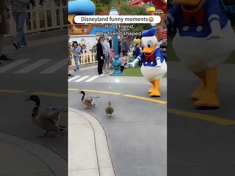 Disney happy moments