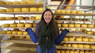 GOUDA CHEESE FARM + KINDERDIJK WINDMILLS - YouTube