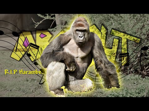 The Arclight sings The Ballad of Harambe