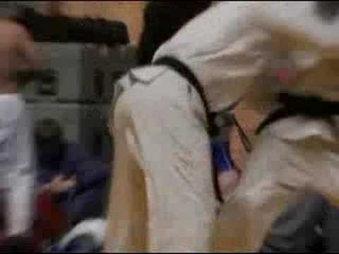 Judo EK Lissabon 2008