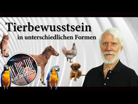 Animal Awareness in Different Forms | Thomas Campbell