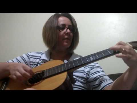 Codinome Beija-flor video