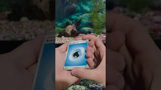 Opening a pack a day! (Day 432) #pokemon #pokemoncards