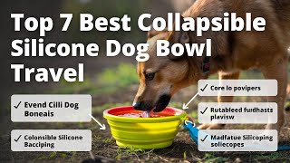 Best Travel Dog Bowl | Top 7 Best Collapsible Silicone Dog B