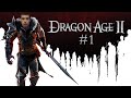 Como No Jugar Dragon Age Ii 1