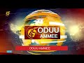 Oduu Ammee
