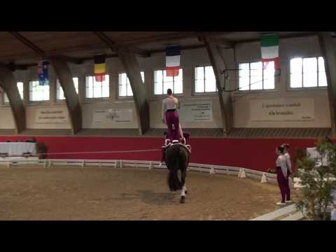 CVI Bern 2015 - Junior Team Austria (CVIJ2*)