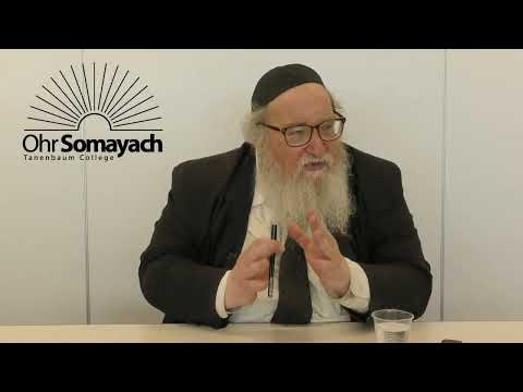 Rambam on Free Will (Rabbi Yitzchak Breitowitz)