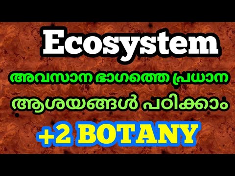Ecosystem in Malayalam | part3 | plustwo botany | ecosystem | +2 ncert biology | +2 botany | science