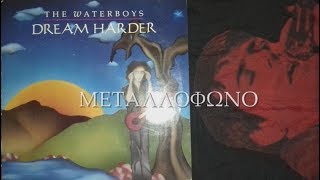 THE WATERBOYS - THE NEW LIFE