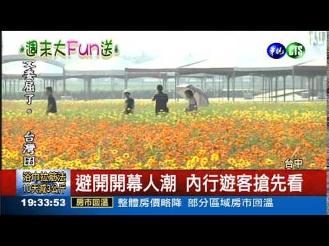 新社花海節 百花綻放搶先看