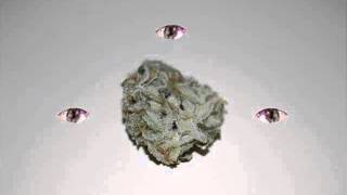 Shaggy Haggard - Out of control (free instrumental)