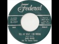 Tell Me What I Did Wrong -  James Brown & The Famous Flames