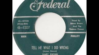 Tell Me What I Did Wrong -  James Brown & The Famous Flames