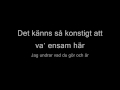 Drømmer du om Mig - en Lyrics Video 