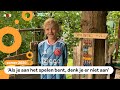 Benjamin heeft vakantie zonder tv en wifi