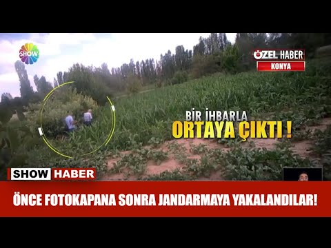Önce fotokapana sonra jandarmaya yakalandılar!