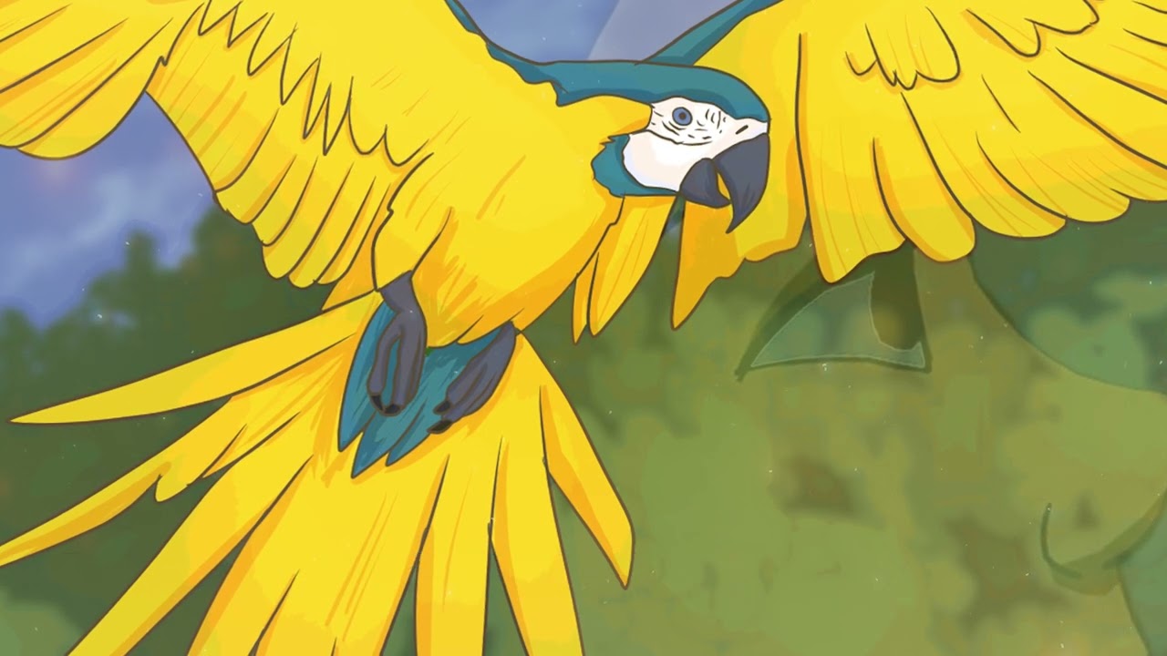 Sintiendo que soy un pájaro