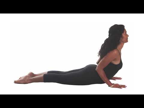 Hatha Yoga. The Sun and Moon Salutations - Samantha Mehra