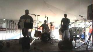 preview picture of video 'New Polish Sounds - 2010 Pulaski Polka Days'