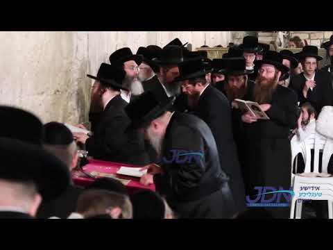 Bobov 45 Rebbe Davening At The Kosel - Tammuz 5781