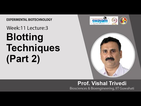 Experimental Biotechnology Intro Video