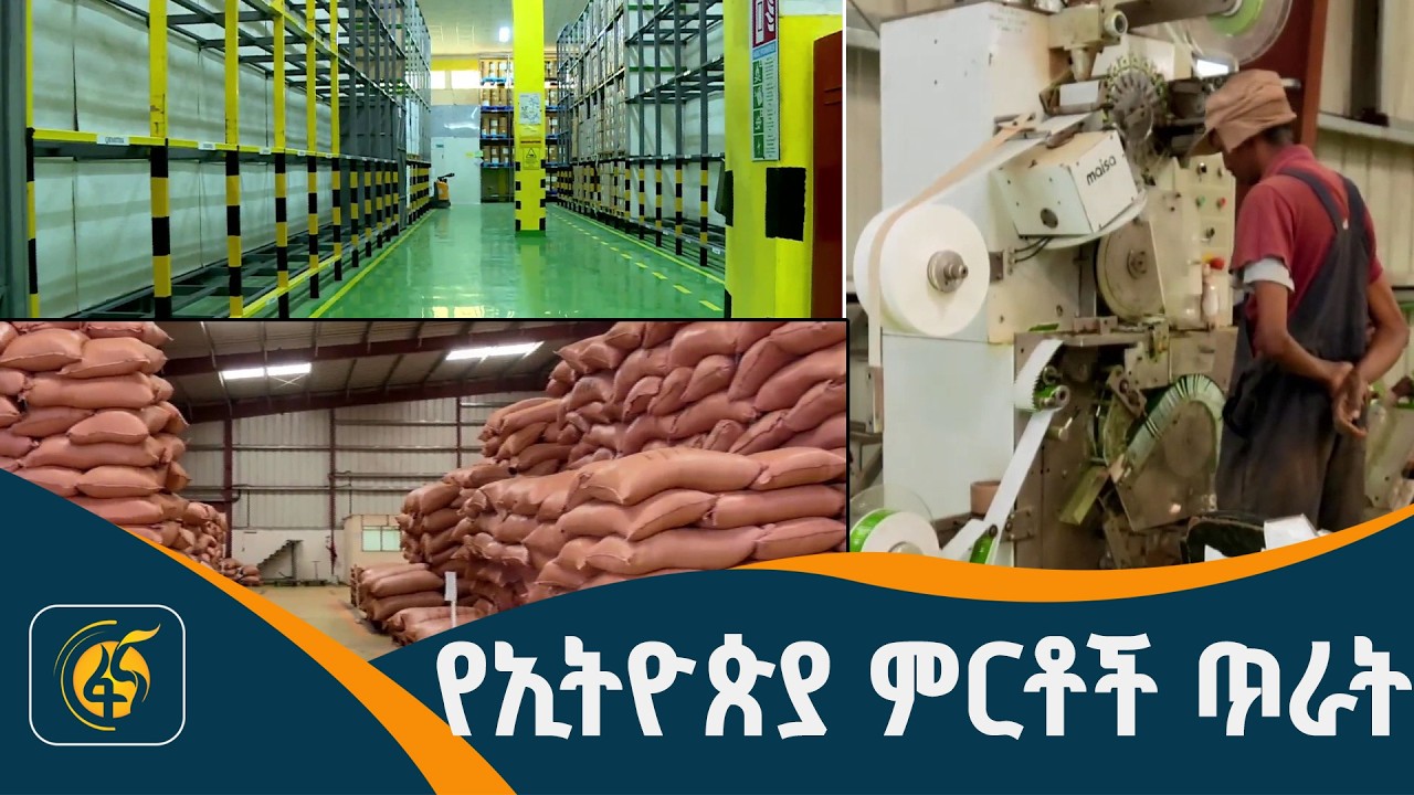 የአምራች ኢንዱስትሪው ችግሮች