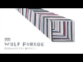 Wolf Parade - Grounds for Divorce