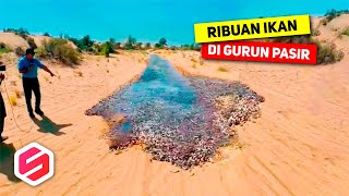 Download lagu Pertanda Apa ini? Ribuan Ikan Muncul Di Gurun Pasir, Gegerkan Warga Sekitar.. mp3