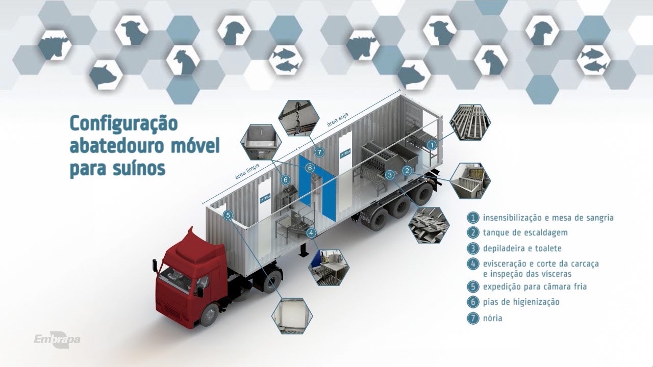 Abatedouro móvel para suínos