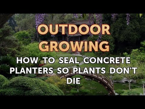 Will Salt or Vinegar Kill Bamboo