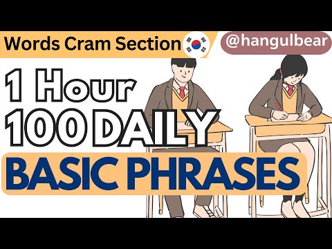 100 Korean Phrases - Beginner Level - 1 HOUR on repeat