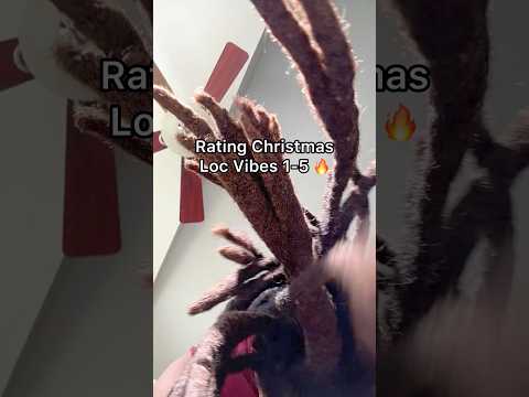 Christmas loc styles rating 🎅🏾🙌🏾 #Christmas #locjourney #locs #naturalhair #locstyles