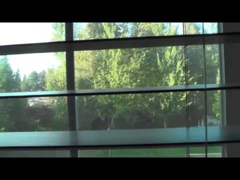 DSP Tries It: Home Improvements