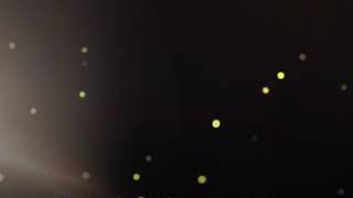 Howard Carpendale du bist nicht mehr wie sonst zu mir