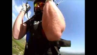 Swooping Is Cool - compilation [Original Video]