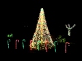 2012 Christmas Light Show Mega Tree