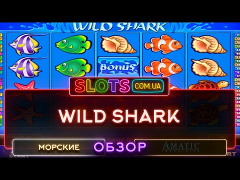 Wild Shark